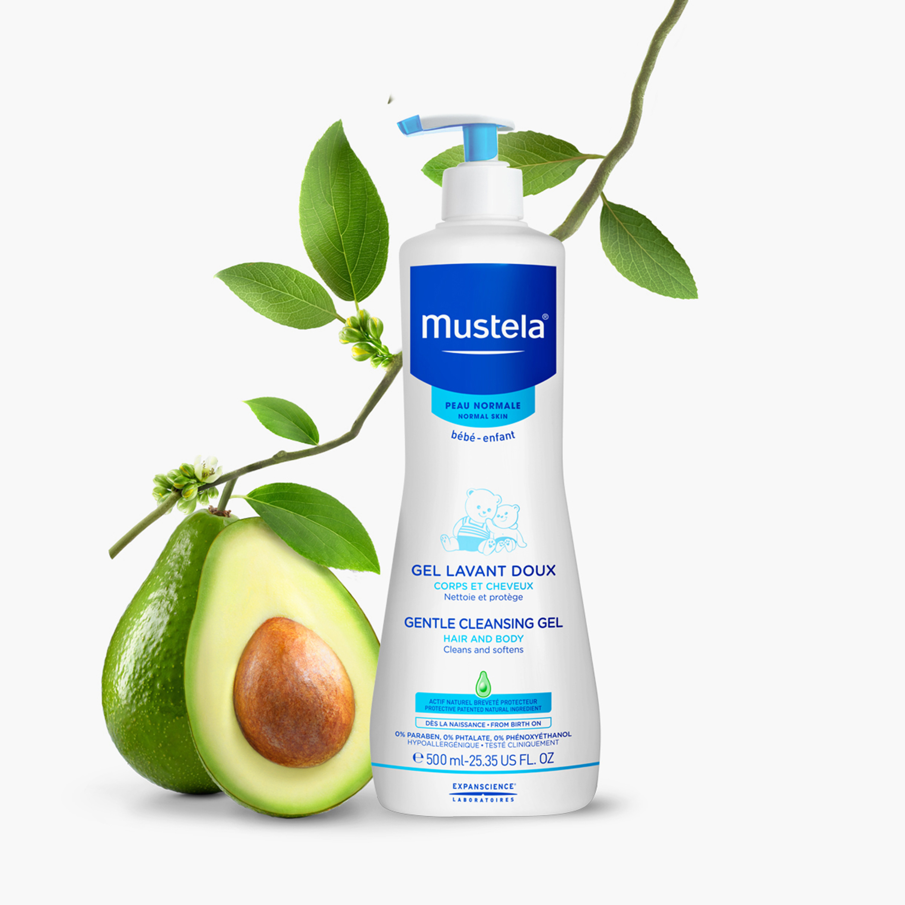 Mustela